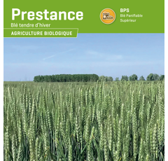 Blé tendre d'hiver - Prestance - BIO