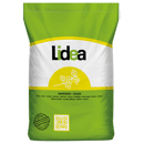 ES Capello | Hybrider Winterraps