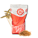 Triticale - Ramdam - BIO