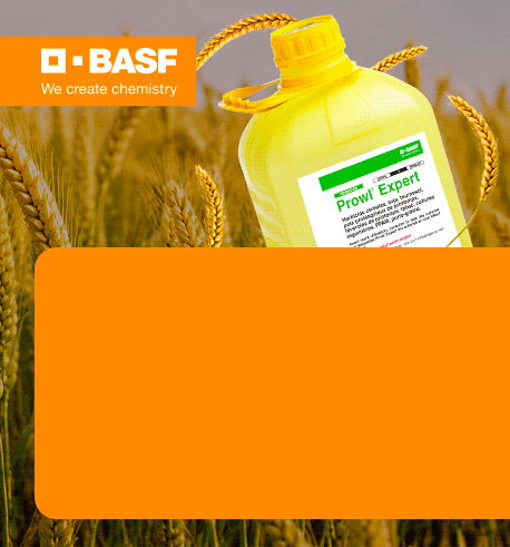 202608_BASF_Home_PushBrandStore_Céréales