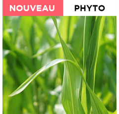 PACK ATTACK + VIBRANCE GOLD | Traitement semence