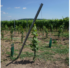 Gripple Verankerungsset GPAK Plus M - verschiedene Längen