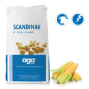 Saatmais - Scandinav (S160 K160) AGASAAT