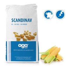 Saatmais - Scandinav (S160 K160) AGASAAT