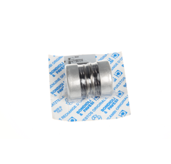 Federpaket 421155704R Bondioli & Pavesi Original 