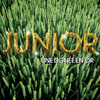 Blé tendre d'hiver - Junior