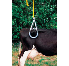 Vink Kuhtakel (Hebegerät für Kühe)