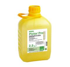 Pictor Pro