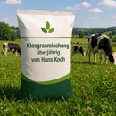 Kleegrasmischung überjährig von Hans Koch