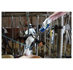 Ecorneur à gaz droit 410 W -  NETHORN