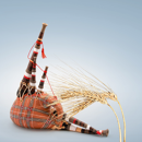 KWS Higgins - Wintergerste