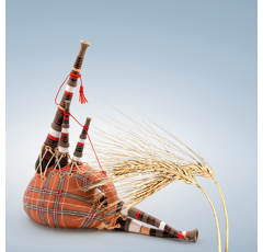 KWS Higgins - Wintergerste