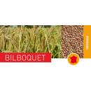 Triticale - Bilboquet - BIO