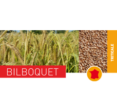 Triticale - Bilboquet - BIO