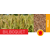 Triticale - Bilboquet - BIO