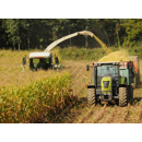 Inoculant Maïs PIONEER 11XH4 - flacon 250 g