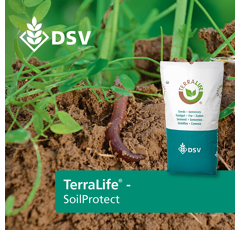 Zwischenfruchtmischung - TerraLife SoilProtect