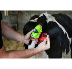 Détecteur de vêlage 19 cm - MOOCALL