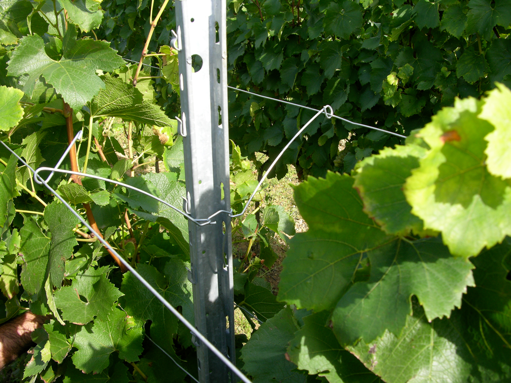 Ecarteur vigne Ø 2.7 mm SCDC