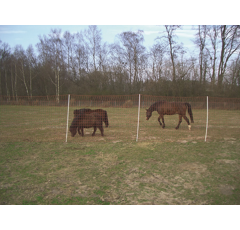 Euro-Netz Mustang 170/2 - mit engen Maschen - 25 m