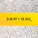 5-8-17 + 2MgO + 22SO3