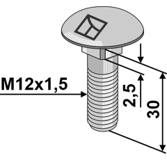 Flachrundschraube M12x1,5x30 ohne Mutter
