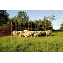 Euro-Netz 106/1 Wildverbiss