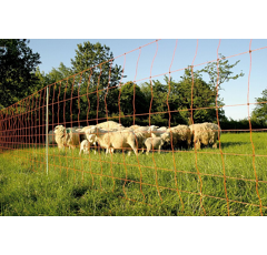 Euro-Netz 106/1 Wildverbiss