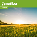 Blé dur - Canaillou - BIO