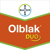 OLBLAK DUO