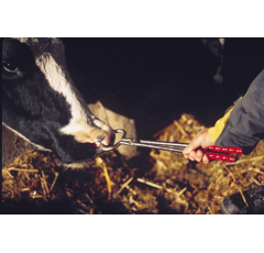 Pince mouchette pour une prise rapide 44 cm - KAMER