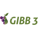 Gibb 3 I Wachstumsregler