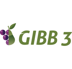 Gibb 3 I Wachstumsregler