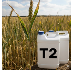 Arkas (Elatus Era PI)  | Systemisches-Fungizid