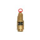 Sicherheitsventil Gewinde 1 1/4" = 42 mm