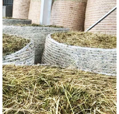 Sonde de température à lecture directe 1,20 - 2,40 m