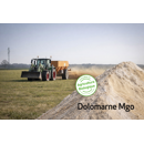 Dolomarne 38 CaC03 + 6 MgO