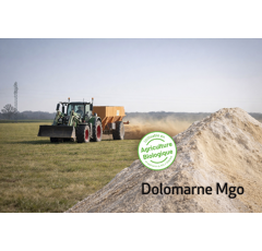 Dolomarne 38 Ca0 + 6 MgO