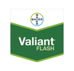 VALIANT FLASH