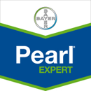 PEARL EXPERT