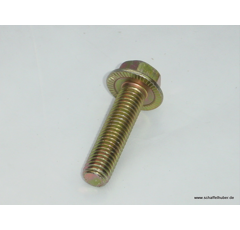 Sperrzahnschraube SP 6x20 