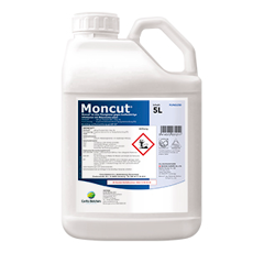 Moncut | Fungizid - Beizmittel