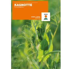 Pois protéagineux jaune de printemps - Kagnotte