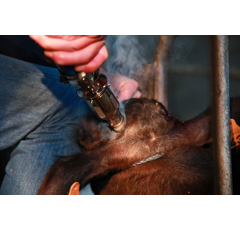 Ecorneur à gaz droit 410 W -  NETHORN