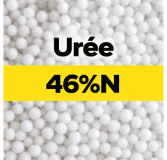 Urée 46