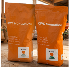 KWS POWER PACK (mittelspät)
