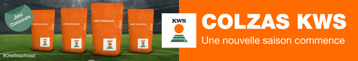 202607_KWS_COLZA_CULTURE
