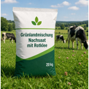 Grünlandmischung für Nachsaat mit Rotklee von Hans Koch - 2026