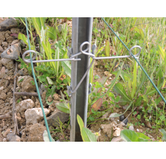 Ecarteur vigne droit Ø 2,7 mm en inox - SCDC