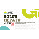Offre spéciale BOLUS HEPATO - 12 unités - Délitement 24h | NutriGO
